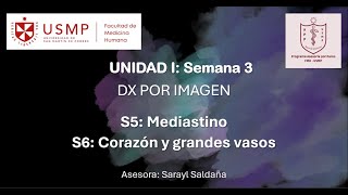 Diagnóstico por Imagen – Sesión 3 – Sarayl Saldaña – 20241 [upl. by Dominik]