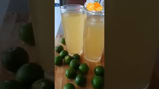 HEALTHY DRINK  CALAMANSI JUICE FRESH FROM THE BACKYARD [upl. by Hays29]