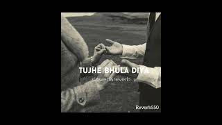 Tujhe Bhula Diya  SlowedampReverb  music slowed mohitchauhan ranbirkapoor [upl. by Avlem435]