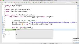 Day9 Read file using FileInputStream in Java [upl. by Eveam]