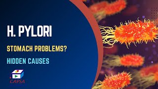 H pylori Infection Symptoms Causes Treatment amp Diet Tips for Gut Health [upl. by Yahsram]