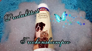 Trixie Trockenshampoo im Test  Produkttest [upl. by Britton132]