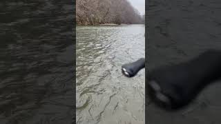 Дело было весной fishing tailwalk fish streamfishing [upl. by Eiaj]