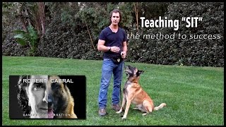 Teach Your Dog to SIT  Using Luring Rewards 14  Robert Cabral Dog Training [upl. by Soisinoid]