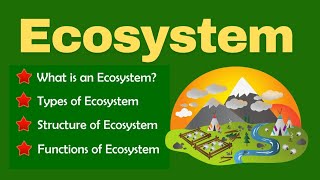 Ecosystem and its types  Terrestrial amp Aquatic ecosystems  Food chain  Ecosystem functions [upl. by Ranee]