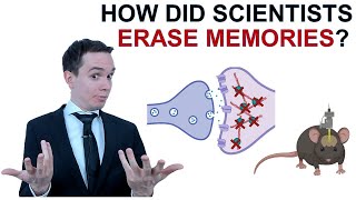 How did scientists erase memories Eng subs [upl. by Nebuer]