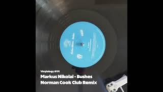 Markus Nikolai  Bushes Norman Cook Club Remix [upl. by Zohar711]