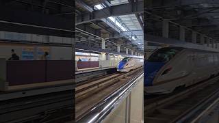 Tsuruga Shinkansen travel shinkansen railfan japanrail [upl. by Anifled]