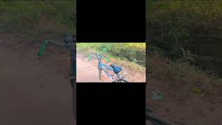 My school cycle wheelie and modified new video reels viralreels shrotyt [upl. by Desiri]