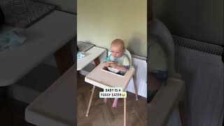 Baby is a fussy eater 🤣 🎥 igdavephillips92 [upl. by Suolekcin]