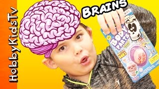 GROWING BRAINS Science Surprise Toy with HobbyKidsTV [upl. by Keung]