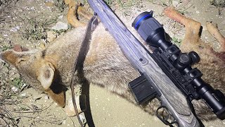 Coyote down with the Thermion 2 XQ38 and Axion 2 XQ35 [upl. by Blunk]