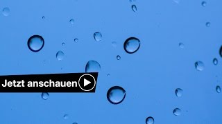 📷 Bei Regen fotografieren 5 Tipps ☔️ Benjamin Jaworskyj fotografieren lernen [upl. by Neff76]