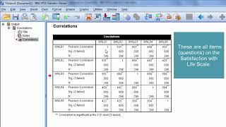 How to Interpret a Correlation Matrix [upl. by Hpesojnhoj]