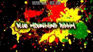 Blue Mountain Riddim Reggae 2008  Mix By Floer [upl. by Athenian]