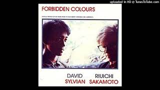 Sylvian amp Sakamoto  Forbidden colours 1983 magnums extended mix [upl. by Ahsineg]