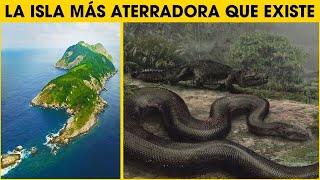 Isla de las Serpientes  Islas Prohibidas Mas MISTERIOSAS Que NUNCA Deberías Visitar [upl. by Lasiaf]