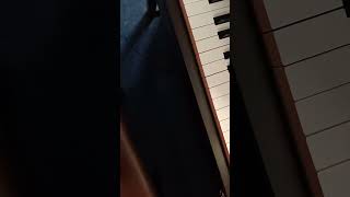 Song Of The Trees Piano Accompaniment [upl. by Romine]