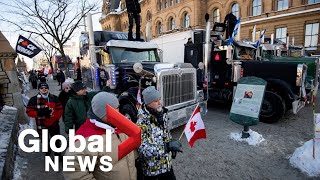 Trucker protests No end in sight as demonstrations continue in Canadas capital [upl. by Trebreh]