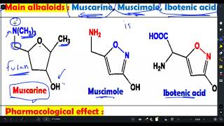 SGU  Alkaloids 2 [upl. by Ahsin]