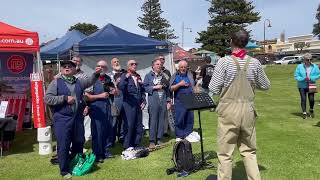 Sheddies at Portland Upwelling Festival on 2 November 2024 [upl. by Yewed]