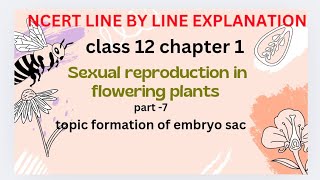 formation of embryo sacsexual reproduction in flowering plants NCERT line by line explanation [upl. by Trbor73]