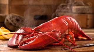 How To Correctly Cook Lobster [upl. by Michal]