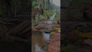 നാട്ടിൻപുറത്തെ മീൻപിടുത്തം villagefishing [upl. by Sawyor]