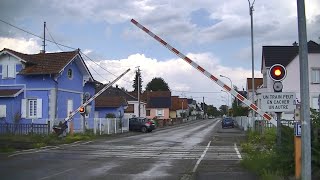 Spoorwegovergang Marienthal F  Railroad crossing  Passage à niveau [upl. by Annoel551]