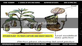 BOTANY CARNIVOROUS PLANTS [upl. by Lourdes354]