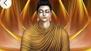 🌿🌿 Buddham Saranam Gacchami Song 🌿🌿 Buddha Video [upl. by Holzman]