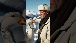 Meet the Bird That Flies Higher Than Mount Everest shorts [upl. by Sigfried]