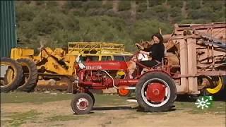 Tractores antiguos de colección Asociación Andaluza de Amigos del Tractor Agrícola [upl. by Yespmed180]