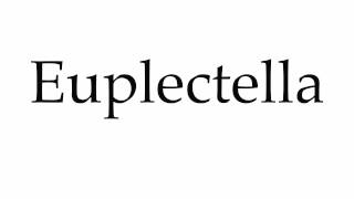 How to Pronounce Euplectella [upl. by Nivram]