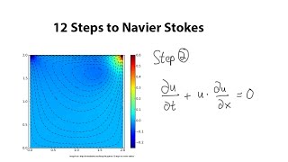 12 Steps to NavierStokes  Step 2 [upl. by Nihi]