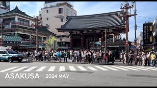 Tokyo Japan Walking Tour  Asakusa Mikoshi Festival 4K HDR [upl. by Oneladgam]