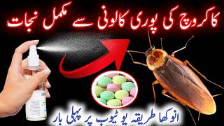 4 Effective Ways To Kill Cockroaches Home Remedies To Get Rid Of CockroachesKitchen Tips [upl. by Eiddam]