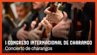 I Congreso de Charangos  Concierto segunda jornada [upl. by Namaj]