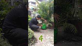 Magical homemade fertilizers  झूम उठेंगे पौधे बस ये जादूई चीजें डाल दो🥛🌿shorts viral gardening [upl. by Hannahoj]