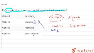 Pericycle of dicot root does not take part in the formation of [upl. by Aileduab]