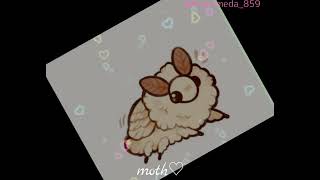 Poodle moth edit mine💖 Andromeda859 🌌 moth edit polilla [upl. by Nnyl]