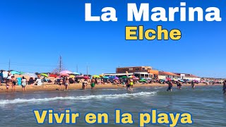 La Marina  Inusual PEDANIA de ELCHE 🏖️ emigrarconana [upl. by Paulie]