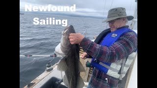 EP 5  Fishing amp Sailing on Bayfield 23 In Beautiful Trinity Bay Newfoundland [upl. by Jansson]