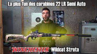 La plus fun des carabines 22 LR Semi Auto Winchester Wildcat Strata [upl. by Aillicsirp]