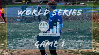 2023 OWA WORLD SERIES  HIPPOS VS MINGOS  OWA Wiffle [upl. by Yragerg]