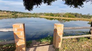 Aquela tarde na Lagoa  that afternoon at the lagoon [upl. by Valleau]