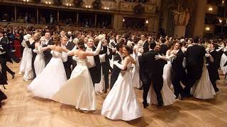 Wiener Opernball 2018 Balleröffnungswalzer [upl. by Ramsay]