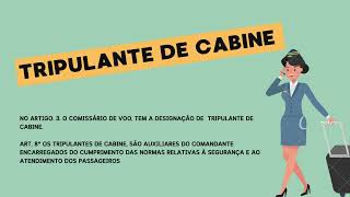 REGULAMENTAÇÃO DA PROFISSÃO DO AERONAUTA tripulante de voo tripulante de cabina e extra [upl. by Ahsiekam]