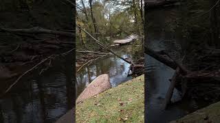 Candler Creek off Deadwyler Road [upl. by Floeter]