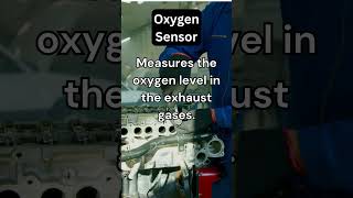 Oxygen Sensors in Optimizing Engine Performance shorts reels viral [upl. by Camarata]